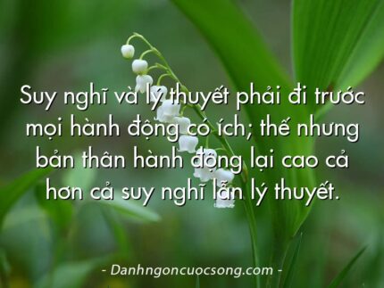 Suy nghĩ và lý thuyết phải đi trước mọi hành động có ích; thế nhưng bản thân hành động lại cao cả hơn cả suy nghĩ lẫn lý thuyết.