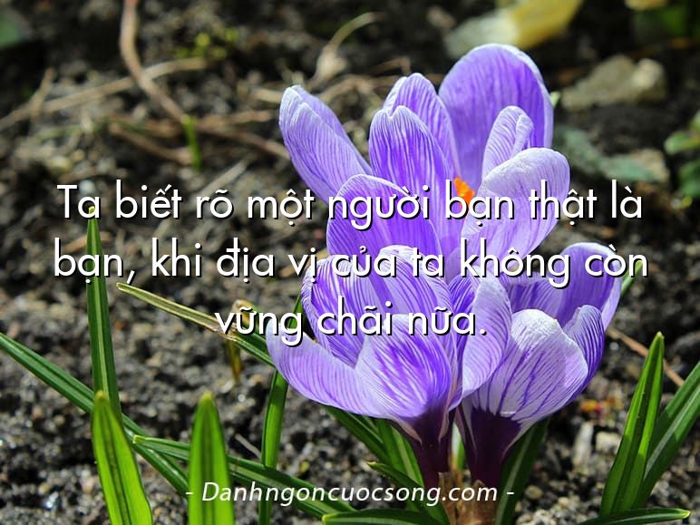Ta biết rõ một người bạn thật là bạn, khi địa vị của ta không còn vững chãi nữa.