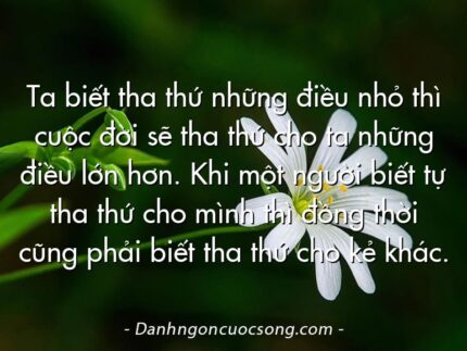 Ta biết tha thứ những điều nhỏ thì cuộc đời sẽ tha thứ cho ta những điều lớn hơn. Khi một người biết tự tha thứ cho mình thì đồng thời cũng phải biết tha thứ cho kẻ khác.