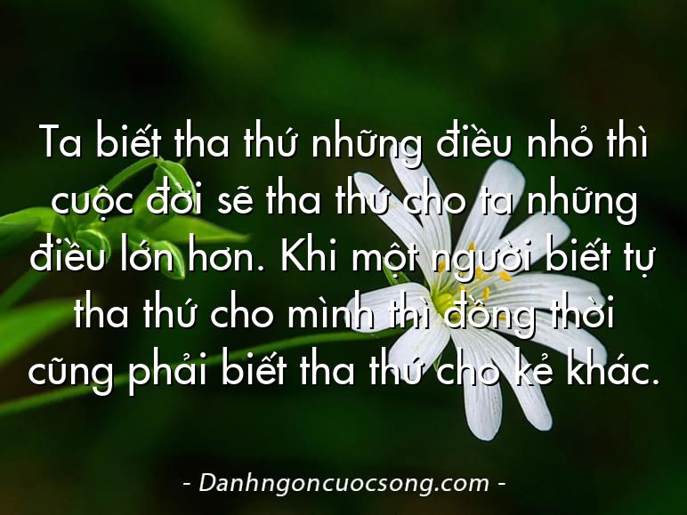 Ta biết tha thứ những điều nhỏ thì cuộc đời sẽ tha thứ cho ta những điều lớn hơn. Khi một người biết tự tha thứ cho mình thì đồng thời cũng phải biết tha thứ cho kẻ khác.