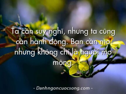 Ta cần suy nghĩ, nhưng ta cũng cần hành động. Bạn cần mơ nhưng không chỉ là người mơ mộng.