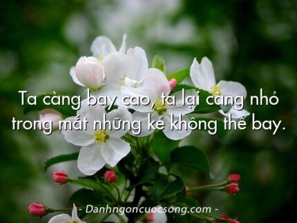 Ta càng bay cao, ta lại càng nhỏ trong mắt những kẻ không thể bay.