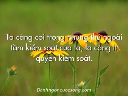 Ta càng coi trọng những thứ ngoài tầm kiểm soát của ta, ta càng ít quyền kiểm soát.