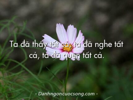 Ta đã thấy tất cả, ta đã nghe tất cả, ta đã quên tất cả.