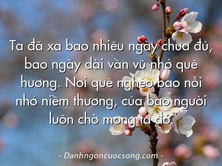 Ta đã xa bao nhiêu ngày chưa đủ, bao ngày dài vần vũ nhớ quê hương. Nơi quê nghèo bao nỗi nhớ niềm thương, của bao người luôn chờ mong ta đó.