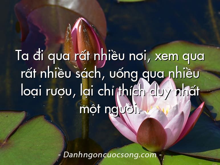Ta đi qua rất nhiều nơi, xem qua rất nhiều sách, uống qua nhiều loại rượu, lại chỉ thích duy nhất một người.