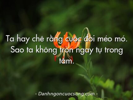 Ta hay chê rằng cuộc đời méo mó. Sao ta không tròn ngay tự trong tâm.