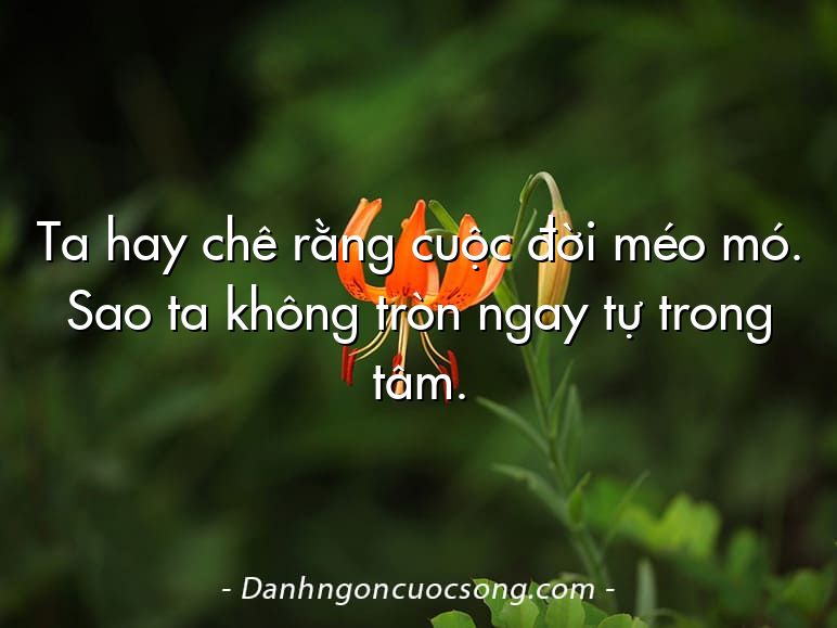 Ta hay chê rằng cuộc đời méo mó. Sao ta không tròn ngay tự trong tâm.