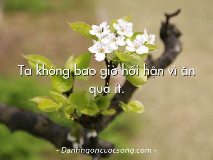 Ta không bao giờ hối hận vì ăn quá ít.
