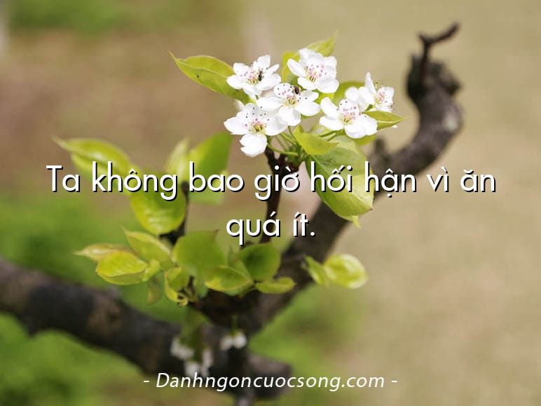 Ta không bao giờ hối hận vì ăn quá ít.
