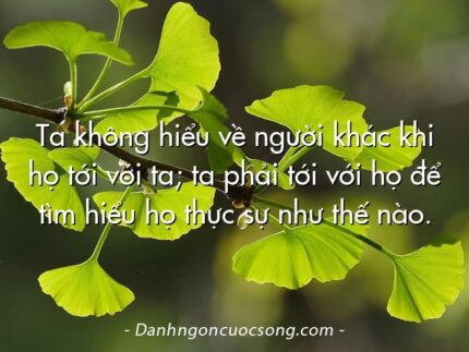 Ta không hiểu về người khác khi họ tới với ta; ta phải tới với họ để tìm hiểu họ thực sự như thế nào.