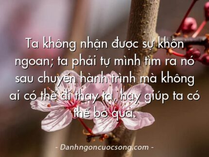 Ta không nhận được sự khôn ngoan; ta phải tự mình tìm ra nó sau chuyến hành trình mà không ai có thể đi thay ta, hay giúp ta có thể bỏ qua.
