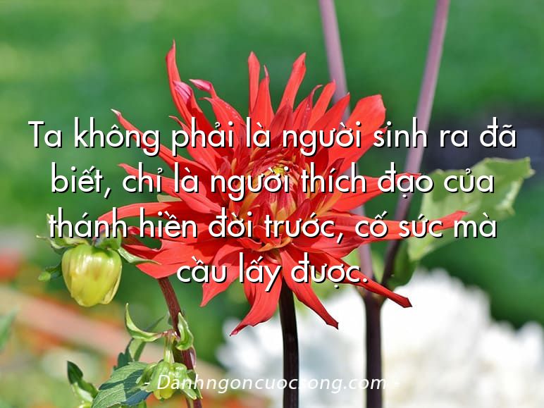 Ta không phải là người sinh ra đã biết, chỉ là người thích đạo của thánh hiền đời trước, cố sức mà cầu lấy được.