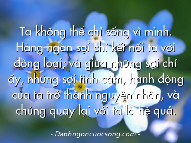 Ta không thể chỉ sống vì mình. Hàng ngàn sợi chỉ kết nối ta với đồng loại; và giữa những sợi chỉ ấy, những sợi tình cảm, hành động của ta trở thành nguyên nhân, và chúng quay lại với ta là hệ quả.