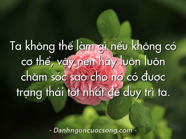 Ta không thể làm gì nếu không có cơ thể, vậy nên hãy luôn luôn chăm sóc sao cho nó có được trạng thái tốt nhất để duy trì ta.