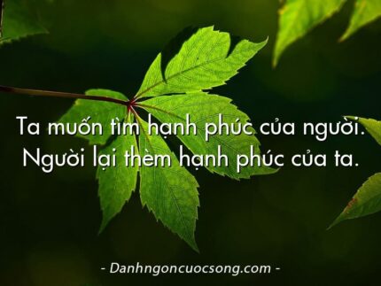 Ta muốn tìm hạnh phúc của người. Người lại thèm hạnh phúc của ta.