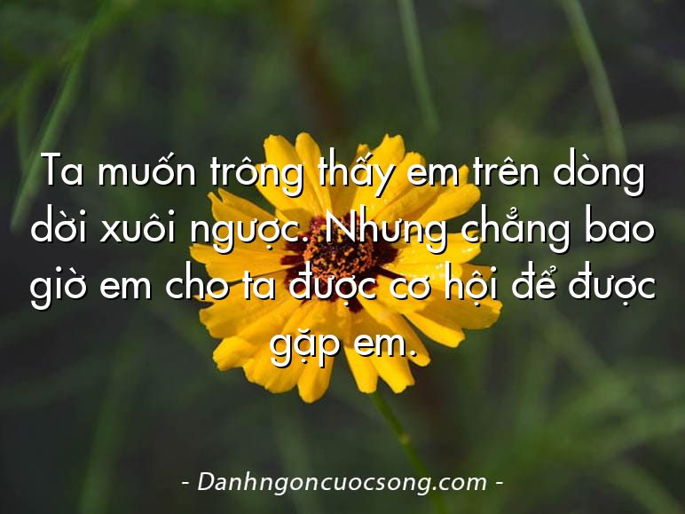 Ta muốn trông thấy em trên dòng dời xuôi ngược. Nhưng chẳng bao giờ em cho ta được cơ hội để được gặp em.