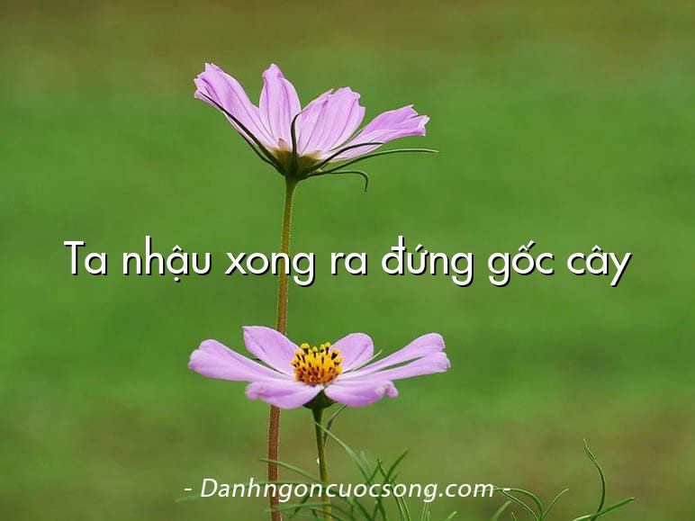 Ta nhậu xong ra đứng gốc cây