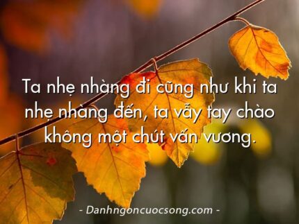 Ta nhẹ nhàng đi cũng như khi ta nhẹ nhàng đến, ta vẫy tay chào không một chút vấn vương.