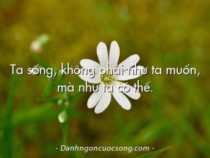 Ta sống, không phải như ta muốn, mà như ta có thể.