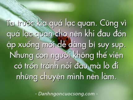 Ta trước kia quá lạc quan. Cũng vì quá lạc quan cho nên khi đau đớn ập xuống mới dễ dàng bị suy sụp. Nhưng con người không thể viện cớ trốn tránh nỗi đau mà lờ đi những chuyện mình nên làm.