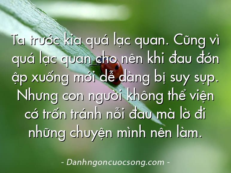 Ta trước kia quá lạc quan. Cũng vì quá lạc quan cho nên khi đau đớn ập xuống mới dễ dàng bị suy sụp. Nhưng con người không thể viện cớ trốn tránh nỗi đau mà lờ đi những chuyện mình nên làm.