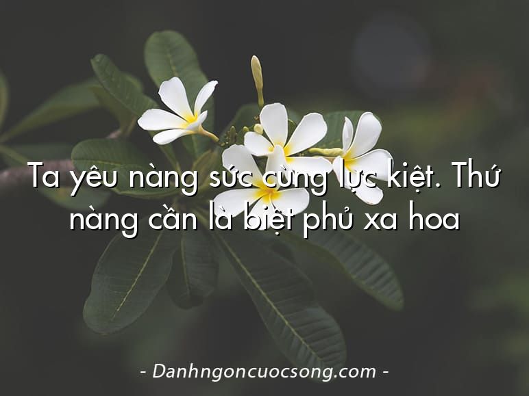Ta yêu nàng sức cùng lực kiệt. Thứ nàng cần là biệt phủ xa hoa