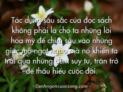 Tác dụng sâu sắc của đọc sách không phải là cho ta những lời hoa mỹ để chìm sâu vào những giấc mơ ngọt ngào mà nó khiến ta trải qua những đêm suy tư, trăn trở để thấu hiểu cuộc đời.