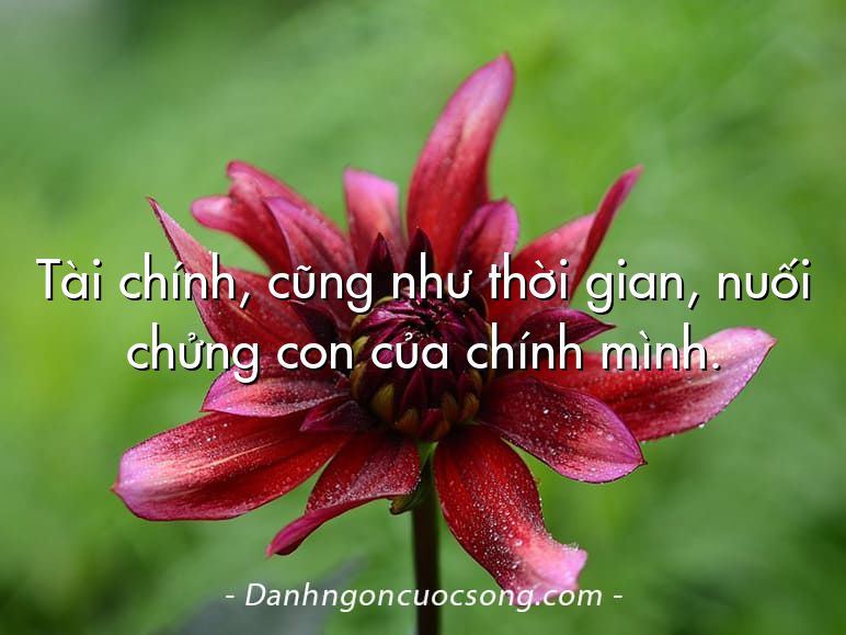 Tài chính, cũng như thời gian, nuối chửng con của chính mình.