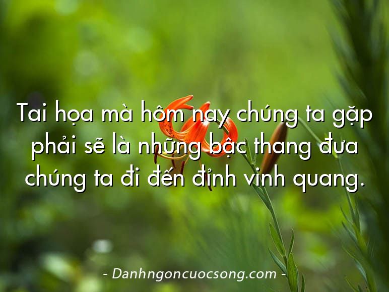 Tai họa mà hôm nay chúng ta gặp phải sẽ là những bậc thang đưa chúng ta đi đến đỉnh vinh quang.