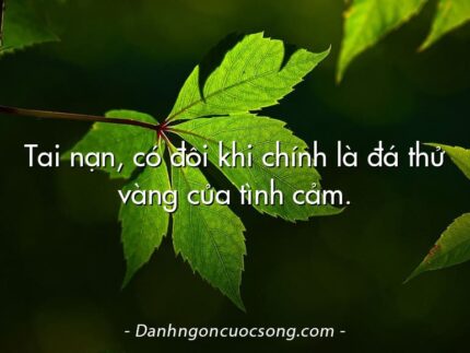 Tai nạn, có đôi khi chính là đá thử vàng của tình cảm.