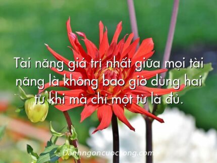 Tài năng giá trị nhất giữa mọi tài năng là không bao giờ dùng hai từ khi mà chỉ một từ là đủ.