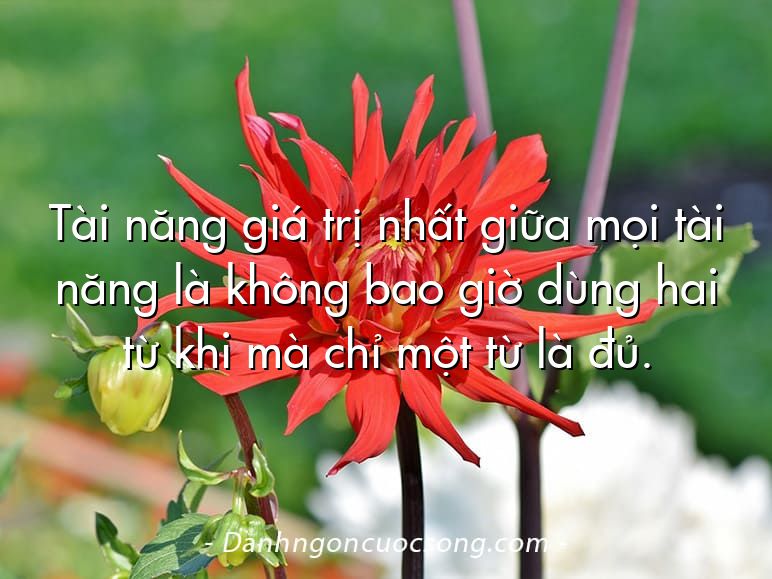 Tài năng giá trị nhất giữa mọi tài năng là không bao giờ dùng hai từ khi mà chỉ một từ là đủ.