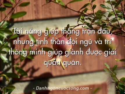 Tài năng giúp thắng trận đấu, nhưng tinh thần đội ngũ và trí thông minh giúp giành được giải quán quân.