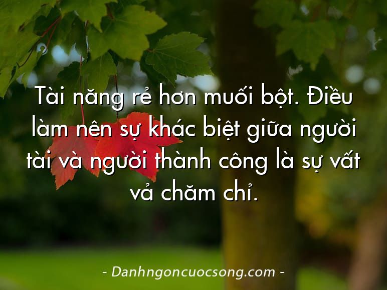 Tài năng rẻ hơn muối bột. Điều làm nên sự khác biệt giữa người tài và người thành công là sự vất vả chăm chỉ.