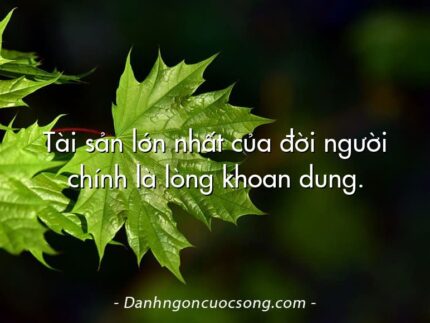 Tài sản lớn nhất của đời người chính là lòng khoan dung.