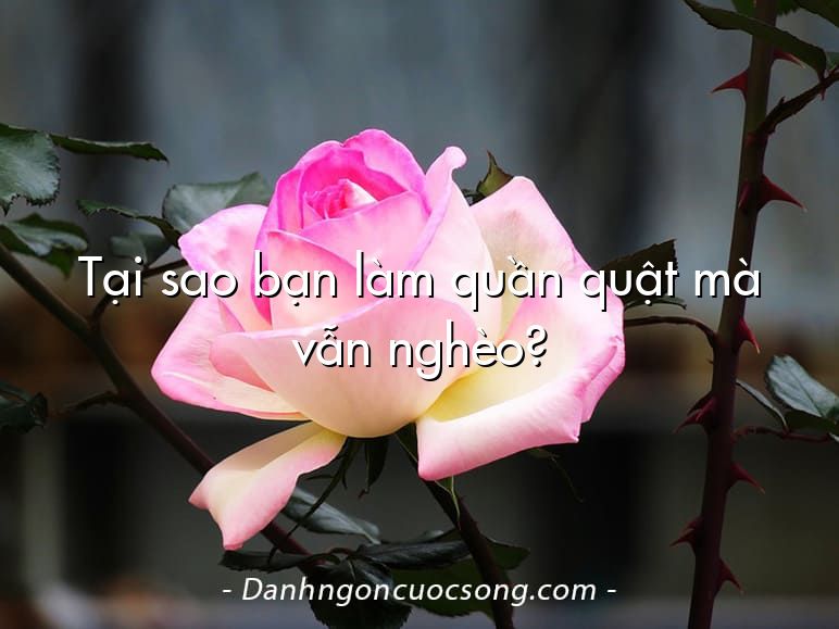 Tại sao bạn làm quần quật mà vẫn nghèo?