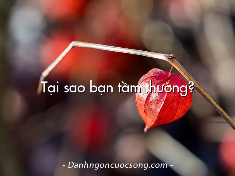 Tại sao bạn tầm thường?