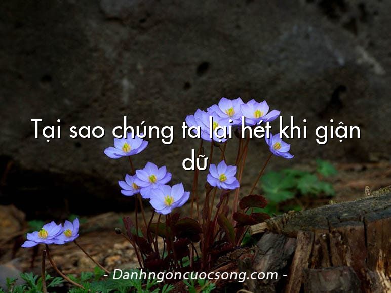 Tại sao chúng ta lại hét khi giận dữ