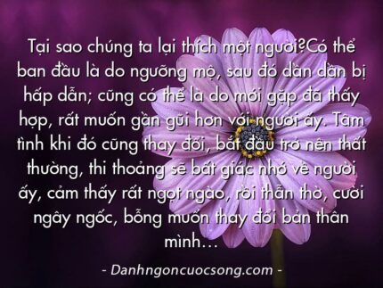 Tại sao chúng ta lại thích một người?Có thể ban đầu là do ngưỡng mộ, sau đó dần dần bị hấp dẫn; cũng có thể là do mới gặp đã thấy hợp, rất muốn gần gũi hơn với người ấy. Tâm tình khi đó cũng thay đổi, bắt đầu trở nên thất thường, thi thoảng sẽ bất giác nhớ về người ấy, cảm thấy rất ngọt ngào, rồi thẫn thờ, cười ngây ngốc, bỗng muốn thay đổi bản thân mình…