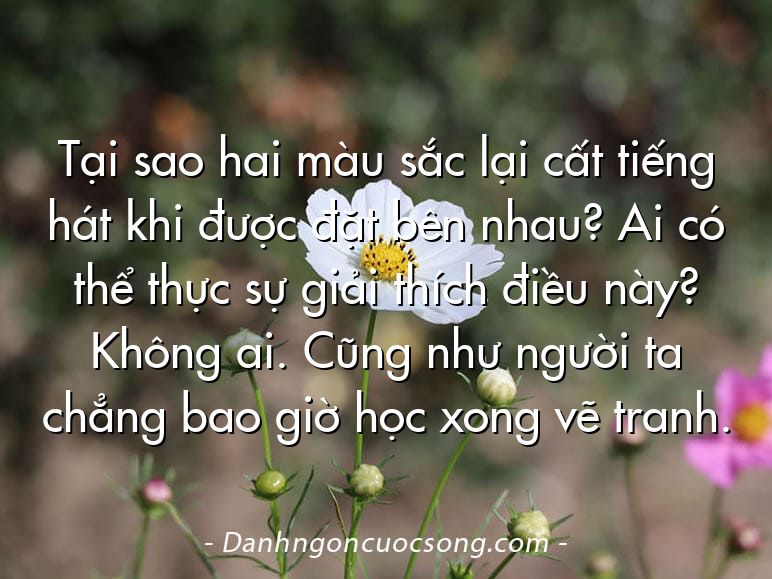 Tại sao hai màu sắc lại cất tiếng hát khi được đặt bên nhau? Ai có thể thực sự giải thích điều này? Không ai. Cũng như người ta chẳng bao giờ học xong vẽ tranh.