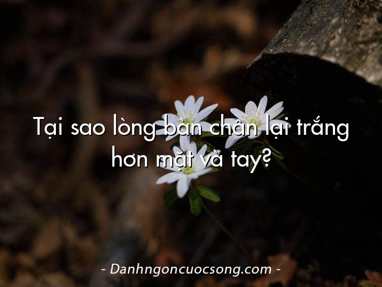 Tại sao lòng bàn chân lại trắng hơn mặt và tay?