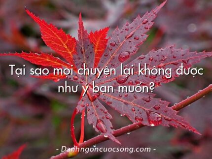 Tại sao mọi chuyện lại không được như ý bạn muốn?
