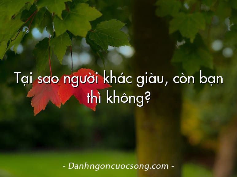 Tại sao người khác giàu, còn bạn thì không?