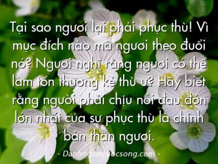 Tại sao ngươi lại phải phục thù! Vì mục đích nào mà ngươi theo đuổi nó? Ngươi nghĩ rằng ngươi có thể làm tổn thương kẻ thù ư? Hãy biết rằng người phải chịu nỗi đau đớn lớn nhất của sự phục thù là chính bản thân ngươi.