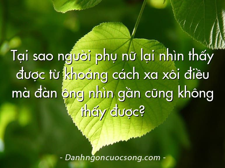 Tại sao người phụ nữ lại nhìn thấy được từ khoảng cách xa xôi điều mà đàn ông nhìn gần cũng không thấy được?