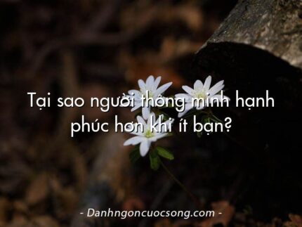 Tại sao người thông minh hạnh phúc hơn khi ít bạn?