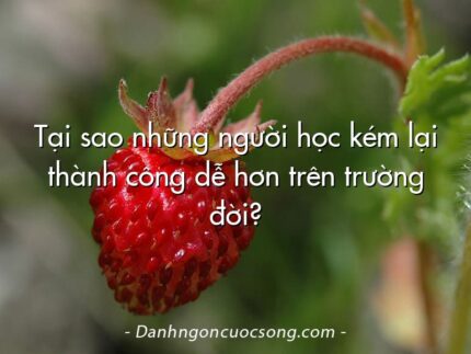 Tại sao những người học kém lại thành công dễ hơn trên trường đời?
