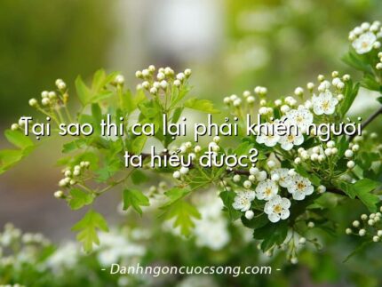 Tại sao thi ca lại phải khiến người ta hiểu được?