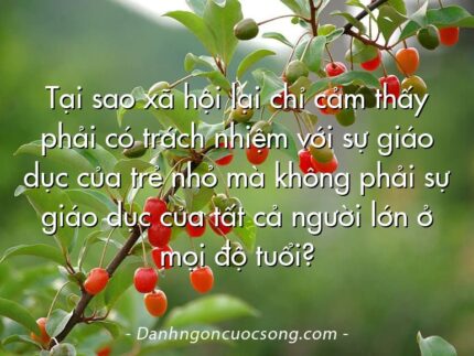 Tại sao xã hội lại chỉ cảm thấy phải có trách nhiệm với sự giáo dục của trẻ nhỏ mà không phải sự giáo dục của tất cả người lớn ở mọi độ tuổi?